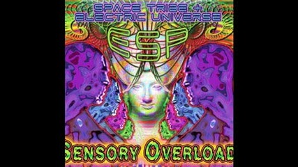 Electric Universe & Space Tribe - Experiences Outside Time