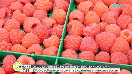 България е топ производител на малини в света, но у нас те са луксозна стока