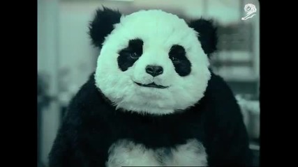 Never say no to Panda #4