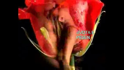 Jivota E Lubov.wmv