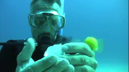 Да счупиш яйце на 20 метра под повърхността на океана