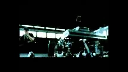 Nevada Tan - Positiv