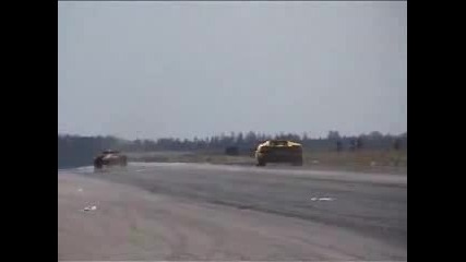 много лудо Lamborgini 