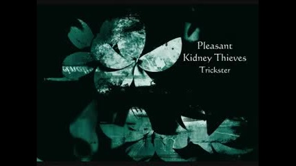 Kidney Thieves - Pleasant 