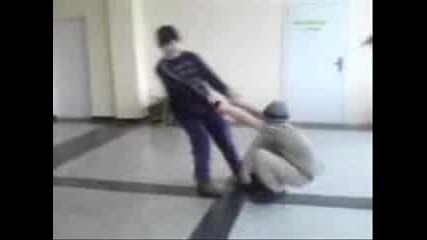 Скиваи Тези Лудите