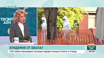 Проф. Ива Христова: Няма основание за тревога от хантавирус у нас