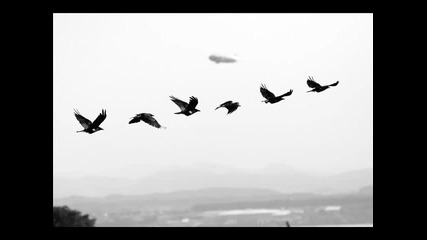 • Fytch - Fly Away ( Ft. Carmen Forbes ) •