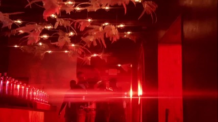 Vado feat. Cam`ron - Speakin` Tungs ( Alaya Lee Cameo ) ( H D ) 