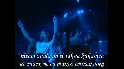 Ceca - Kukavica