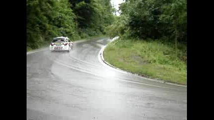 Krum Donchev - Croatia Delta Rally 2009