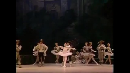 The Sleeping Beauty Kirov/marinsky Ballet 13