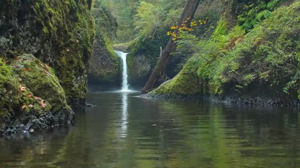 World Of Beauty - Nature Relaxation