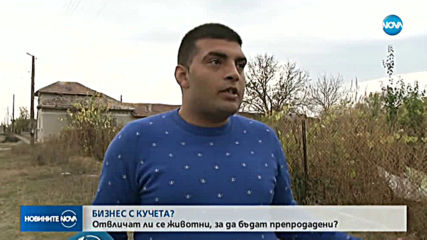 НАСИЛИЕ НАД КУЧЕ: Отвличат ли се животни, за да бъдат препродадени?