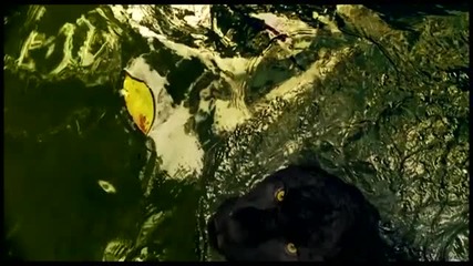 Edward Maya ft. Violet Light - Love Story 2012 (tribute to Mexico) [hd]