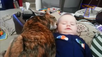 Компилация Смях ! Cute animals kissing babies - Funny animal & baby compilation