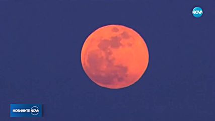 Новините на NOVA (27.07.2018 - 7.00 ч.)