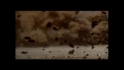 Formula 1