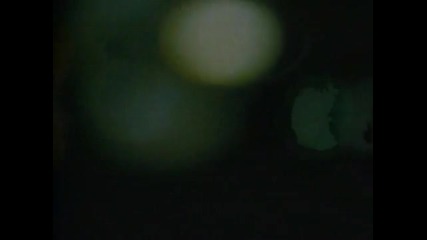 Survivor - Eye Of The Tiger