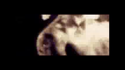 Enigma - Sevenlives