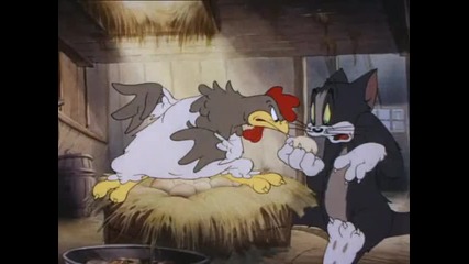 Tom and Jerry - Fine Feathered Friend 