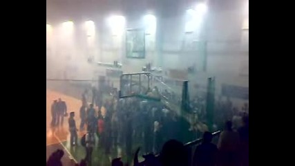 Panathinaikos Fans На Волейбол