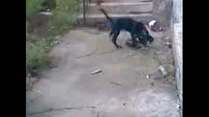 Bak4o.3gp