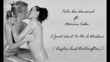 Felix Da Housecat ft. Romina Cohn - I Just Want To Be A Lesbian ( Eagles And Butterflies )
