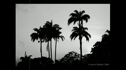Aston Martinez - Seduction ( Coca Columbia Remix )