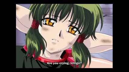 Amv - Tokyo Mew Mew - In The End