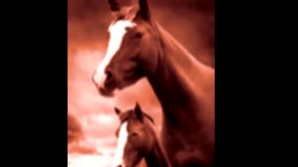 Winston Groovy - Please don t make me cry 