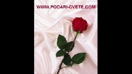 Яки снимки на теменужки и Рози