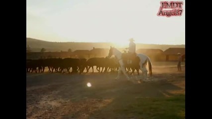 Soy tu duena - Trailer official 