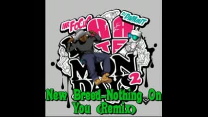 New Breed - Nothing On You (remix) New song 2010 March 31 