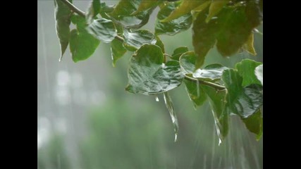 Sleep Dealer - Falling Rain