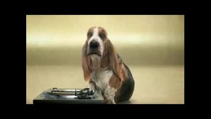 Кучешки Beatbox - Смях 