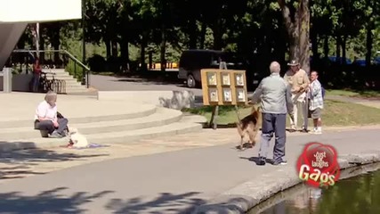 Кучето на слепеца - Скрита камера