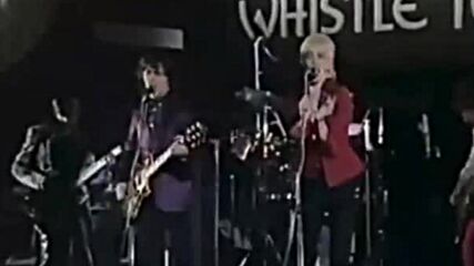 The Tourists ( 1979 ) - Blind Among the Flowers