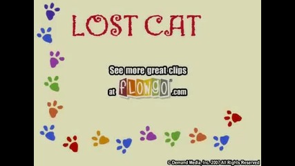 Изгубената котка