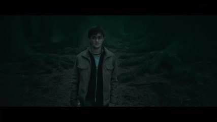 Ralph Fiennes Harry Potter and the Deathly Hallows Part 2 Interview