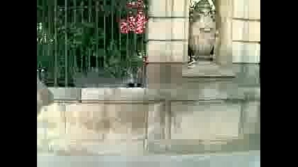 31.05.09 vlak4eto
