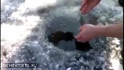 Ето как се лови риба с ръце в Русия