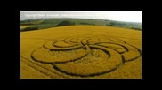 Crop Circle Video - Stock footage of Crop Circles