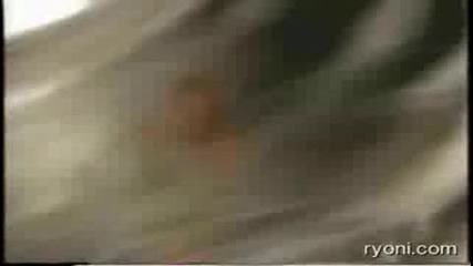  Claudia Schiffer Compilation Video 
