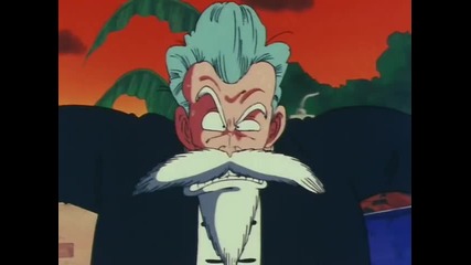 [a-s]_dragon_ball_-_028_-_the_fi