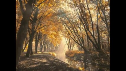 Beautiful dream...
