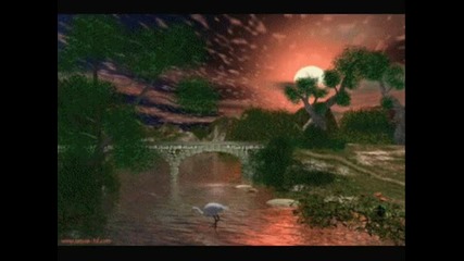 I_m Sorry -just A Man.wmv
