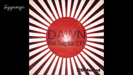 Pete Tong ft. S. Y. F. - Dawn ( Original Mix ) [high quality]