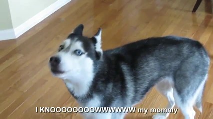 Mishka wants her Mommy - Subtitled