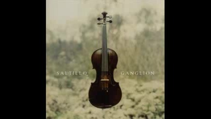 Saltillo - The Opening 