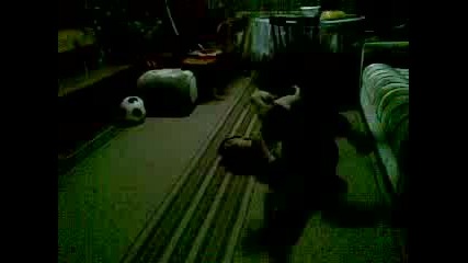 13032009.mp4